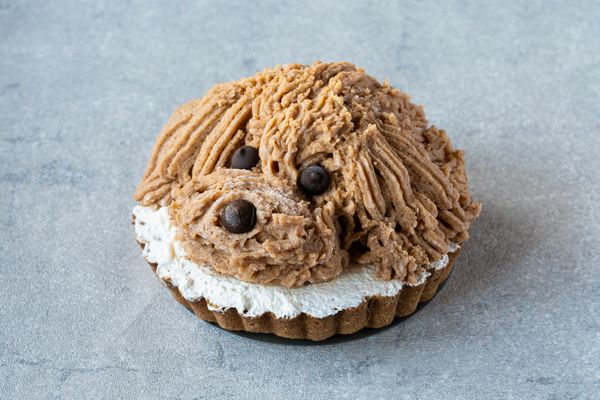 トイプードルのたると(モンブラン）